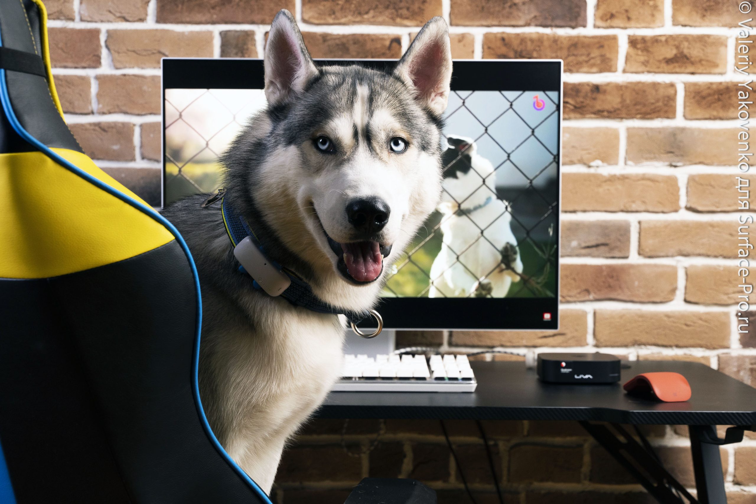 Обзор ECS LIVA Mini Box QC710 Desktop